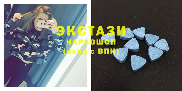 PSILOCYBIN Гатчина
