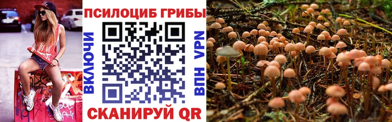kraken как зайти  Гагарин  Псилоцибиновые грибы MAGIC MUSHROOMS 